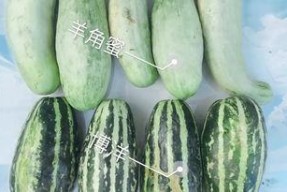最新热门网红吃瓜,揭秘娱乐圈最新热点事件