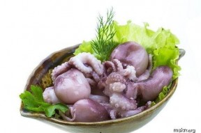 吃瓜网红章鱼,揭秘娱乐圈幕后真相