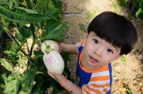 娱乐吃瓜酱关于童年,娱乐吃瓜酱带你重温那些年